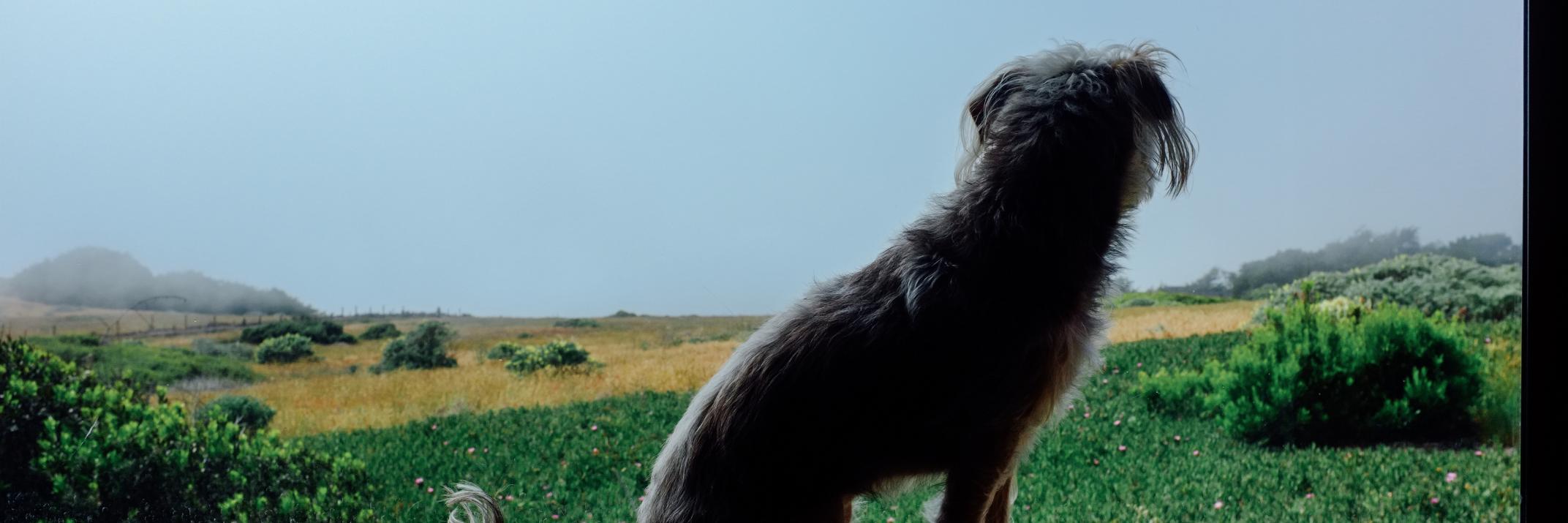 baileyotis's profile banner image