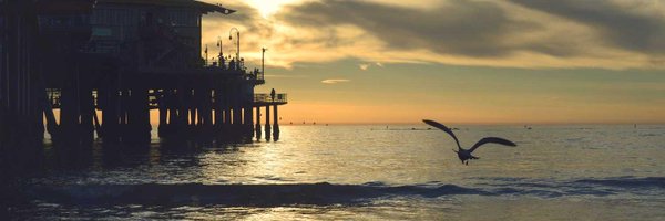 malaksaei1 Profile Banner