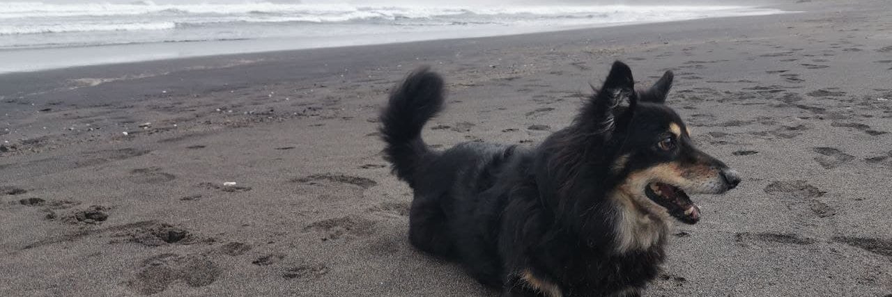 paugnu's profile banner image