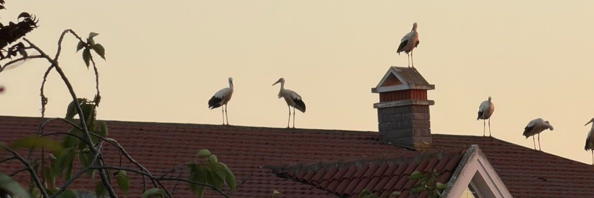 bidemlikkcay's profile banner image