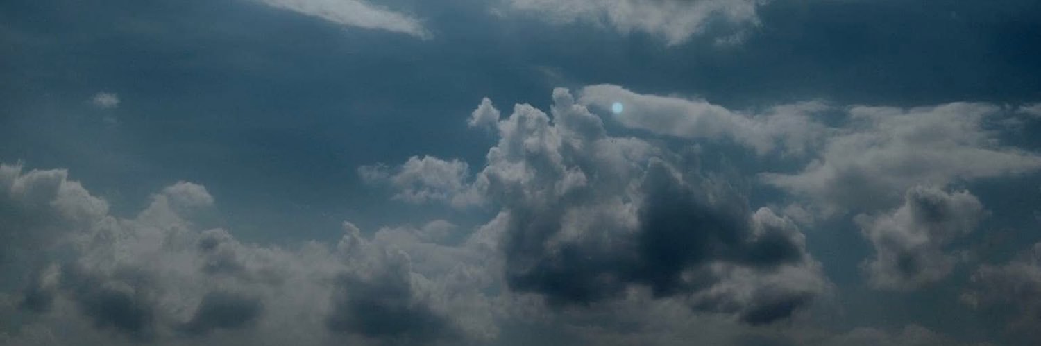 Jan…994 banner