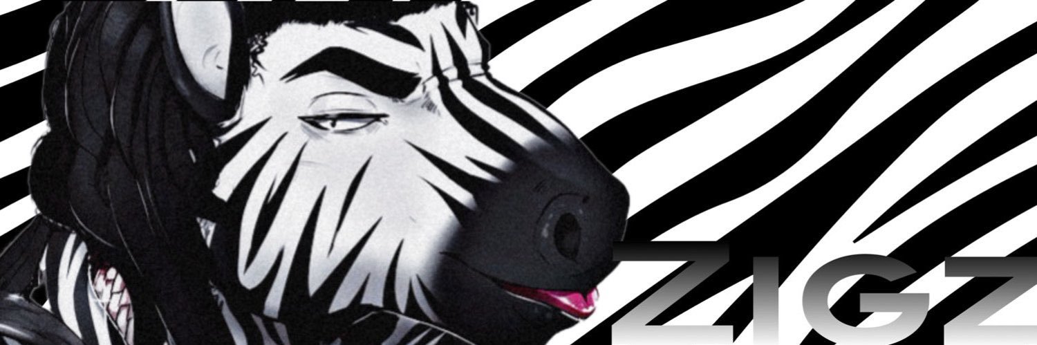 𝒁𝒊𝒈𝒛 banner