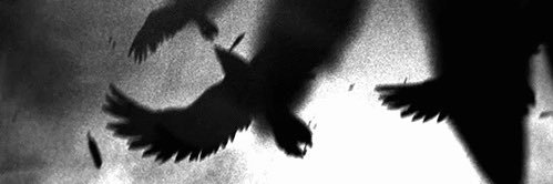 mingorxn's profile banner image