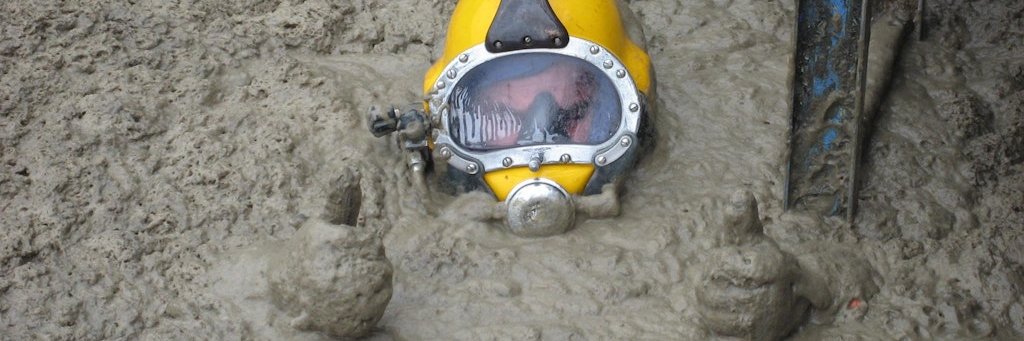 Wahoo Q Delirious banner