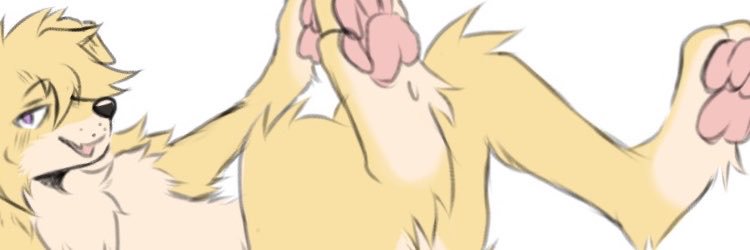 swapira's profile banner image