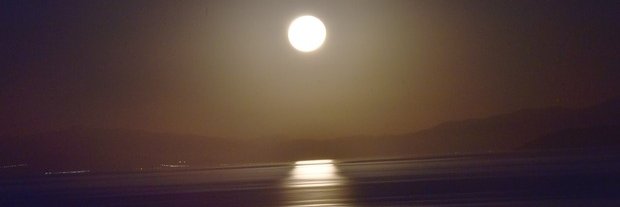 mrveebozz's profile banner image