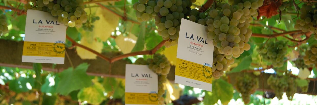 Bodegas La Val banner