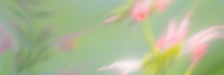 คุณหนูวิวอารมณ์วีน🧚🏼‍♀️💖 banner