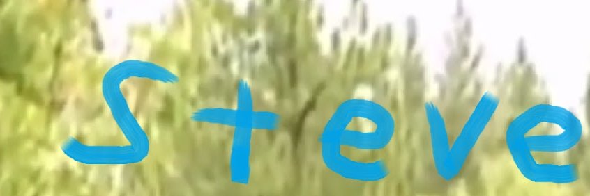 steve's banner