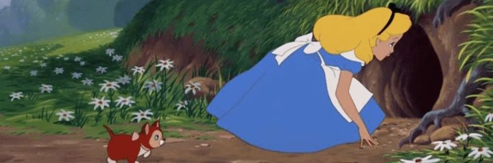 🌹🐇Alicia 🐰🍄 banner