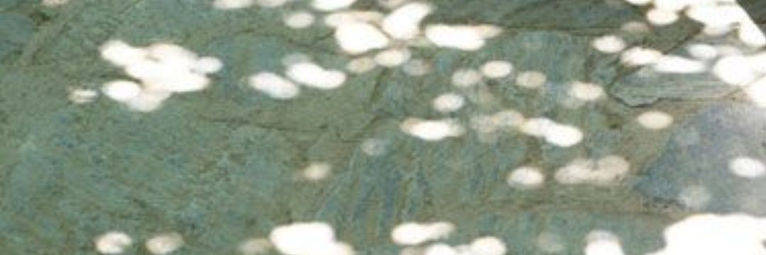 busears_'s profile banner image