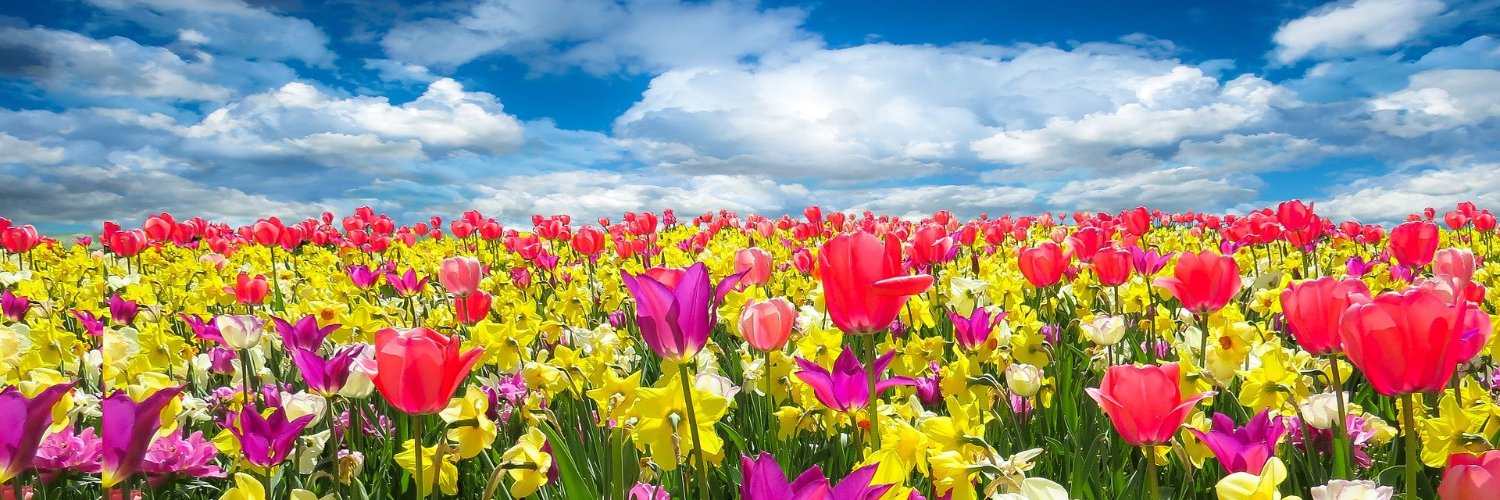 eXtra + (South Essex College Group) banner