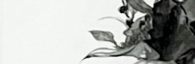 佳 banner