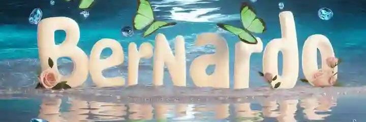 𝘽𝙚𝙧𝙣𝙖𝙧𝙙𝙤™🇰🇪 banner