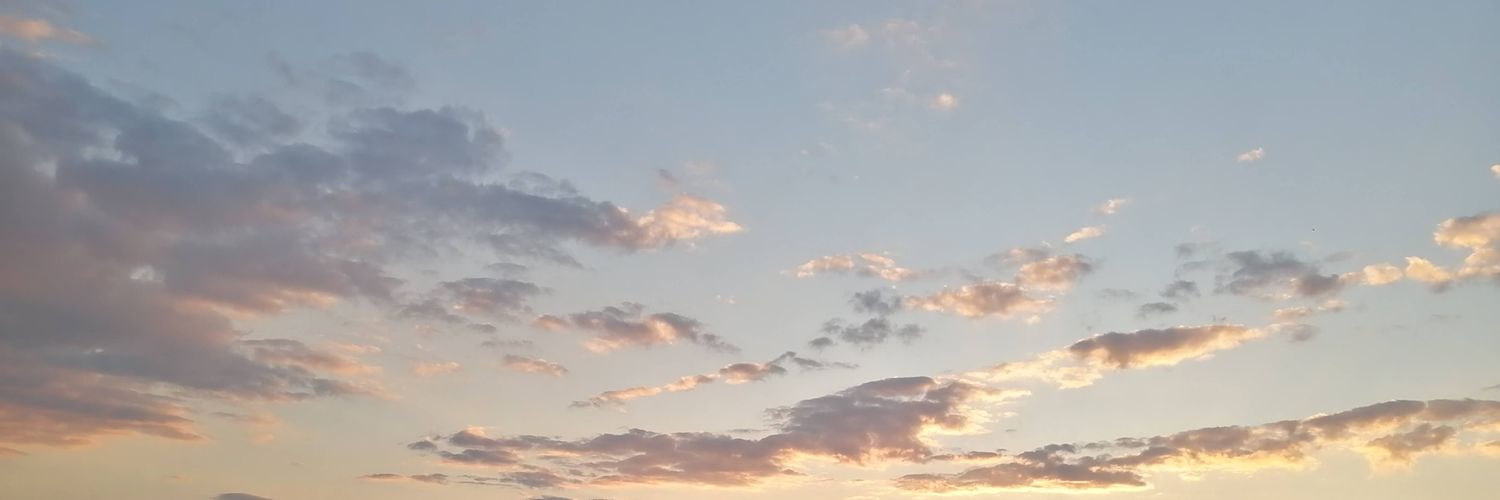 わたげ🌦️'s banner