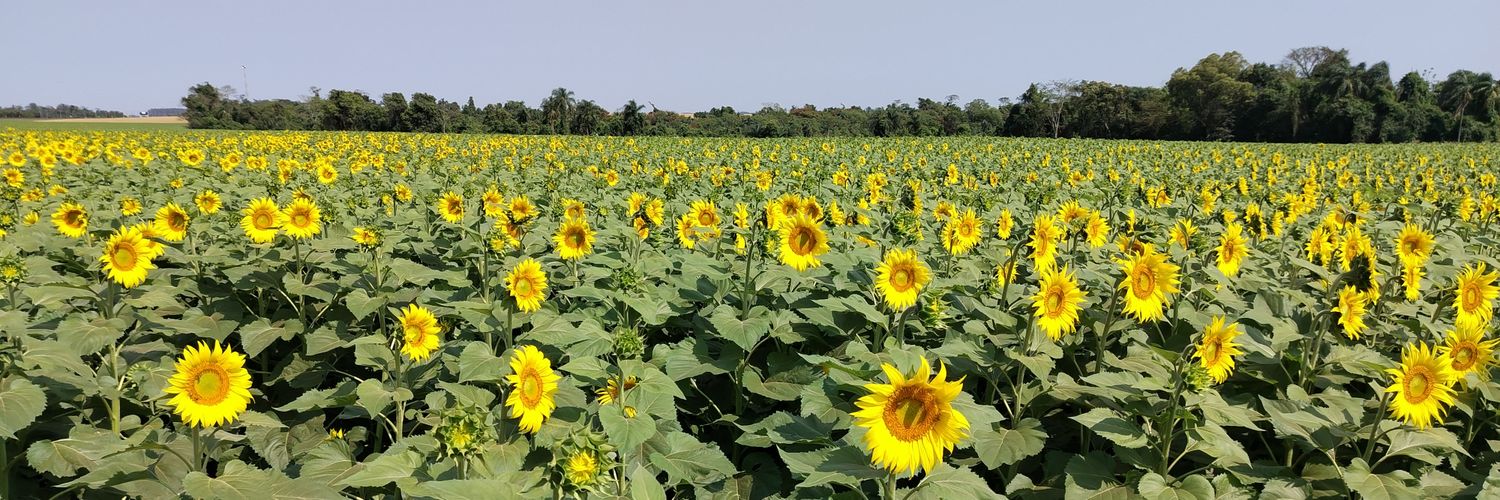 Silvi Paredes🖤💧 banner