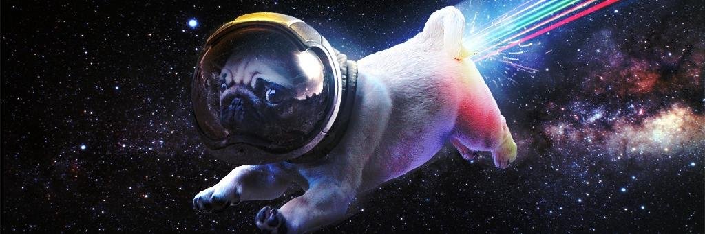 pugmum 🖖🚀 banner