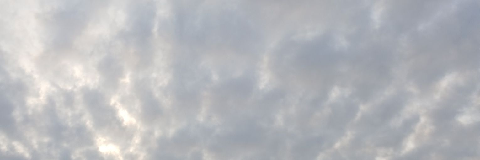 영양's banner