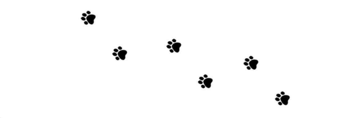 茨🌹🐾ギルド名古屋 banner