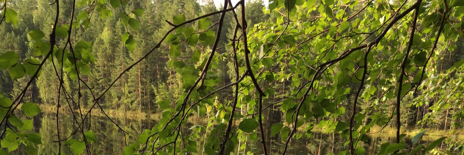 MKulonen's profile banner image