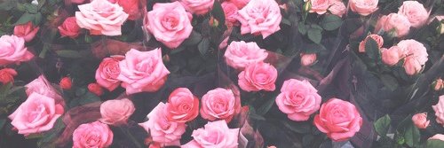 ohdivviyaaa's profile banner image