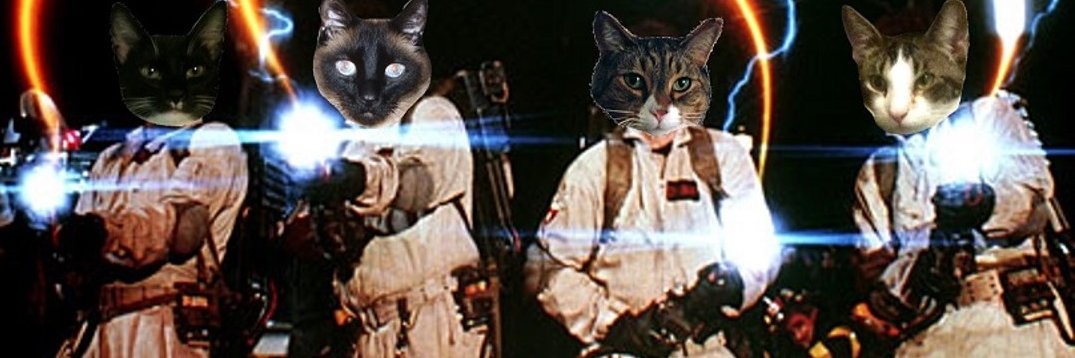 morbokif's profile banner image