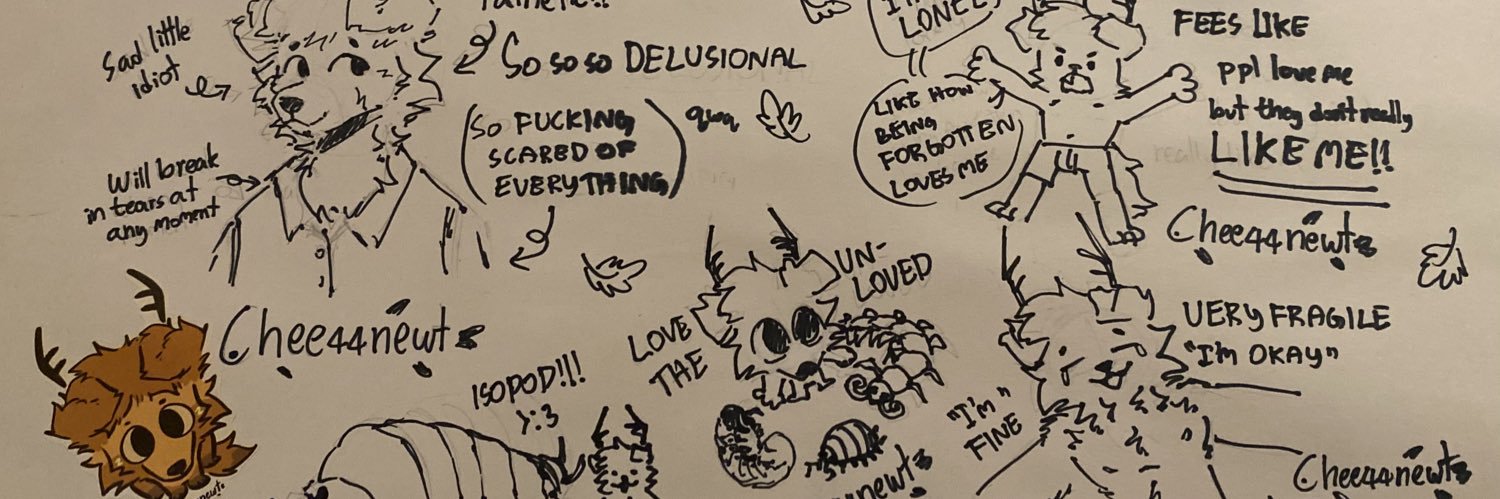 NewtTheCheezeboi(NewAccOldOneGotHacked)'s banner