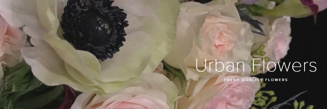 flowersumbrelSA's profile banner image