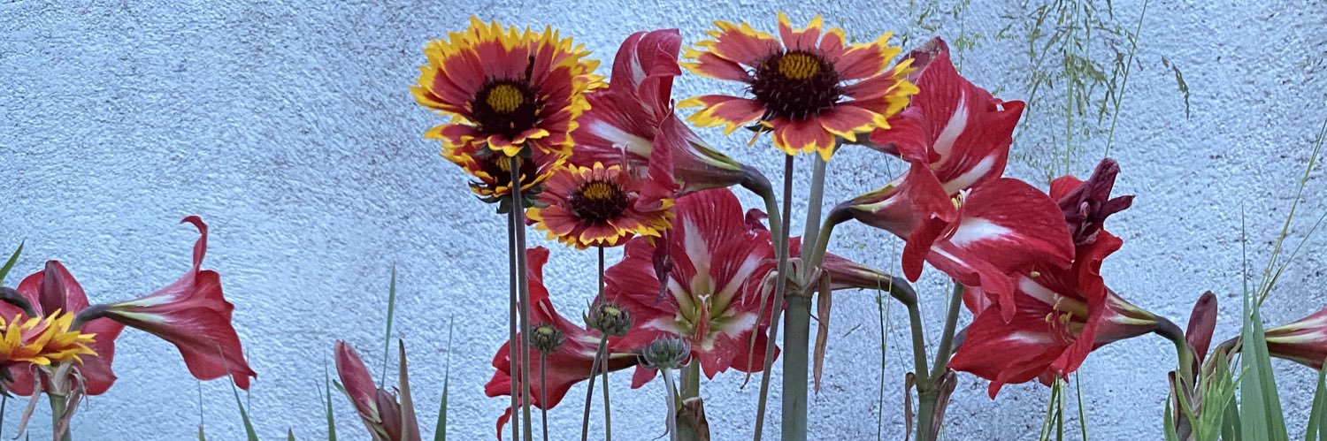 11ss6666's profile banner image