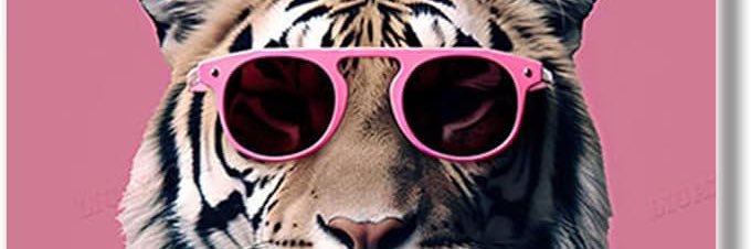 User1137934's profile banner image
