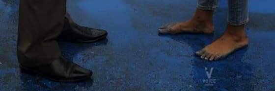 Catto banner