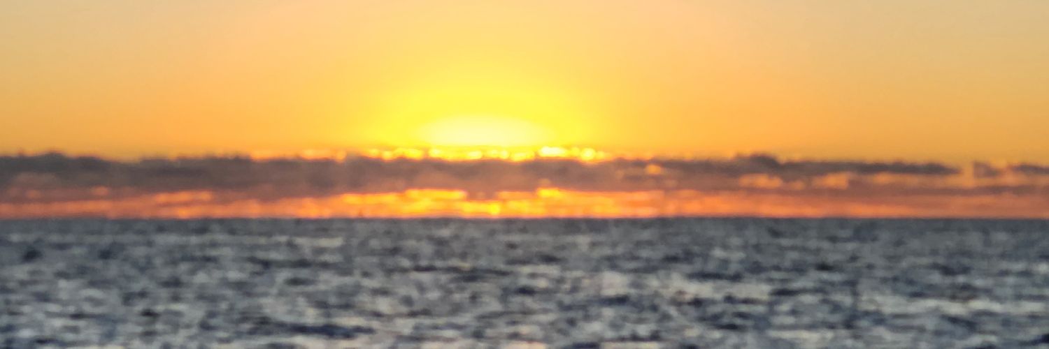 Paul the plumber banner