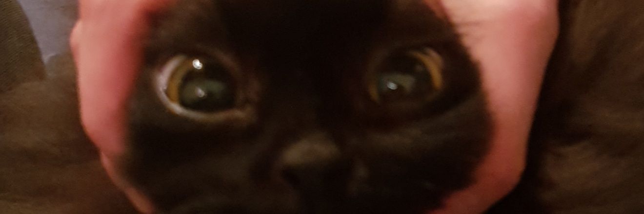 IrvinCandas's profile banner image