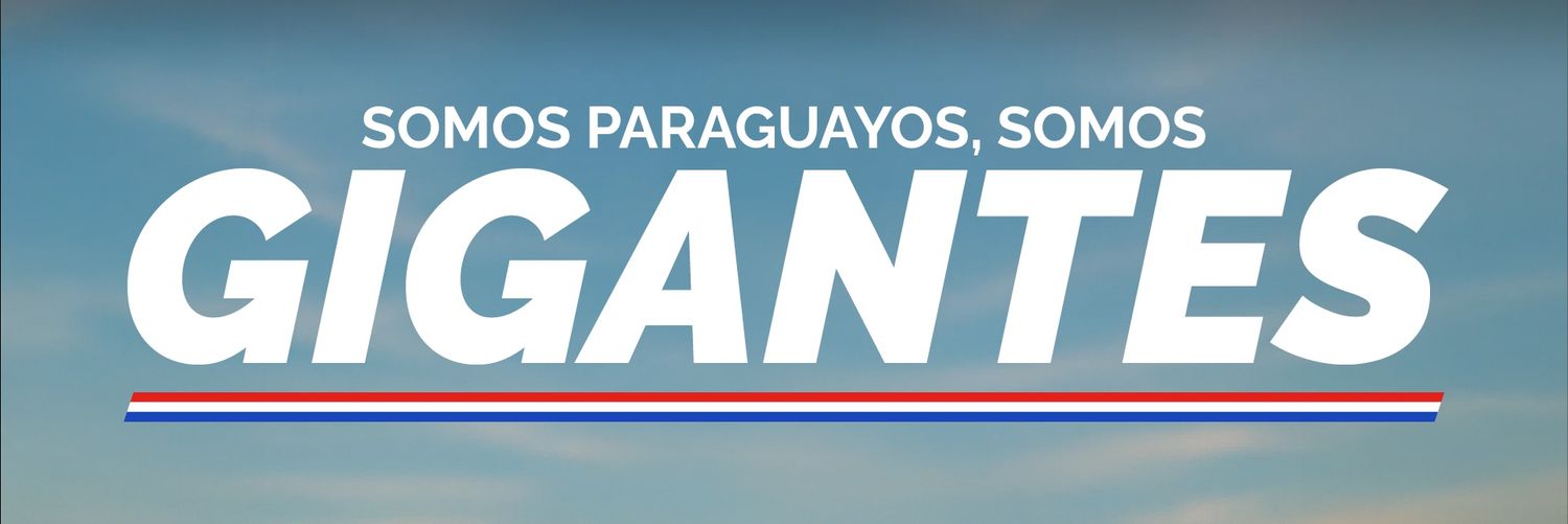 Dirección Nacional de Transporte - Paraguay banner