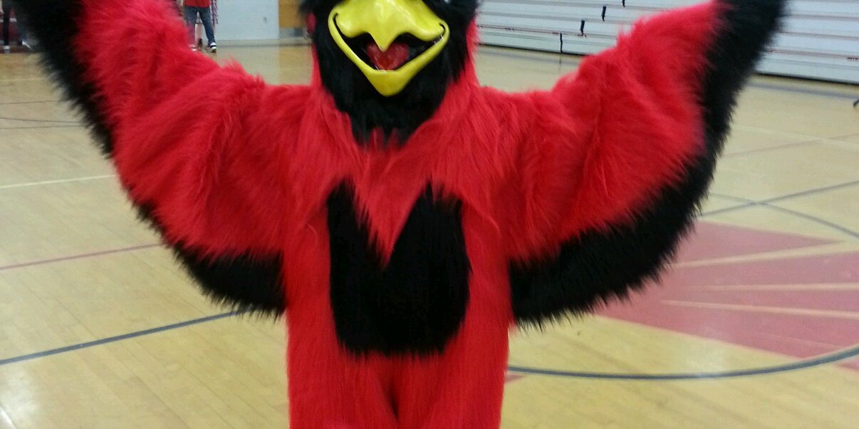 Diane Compton banner