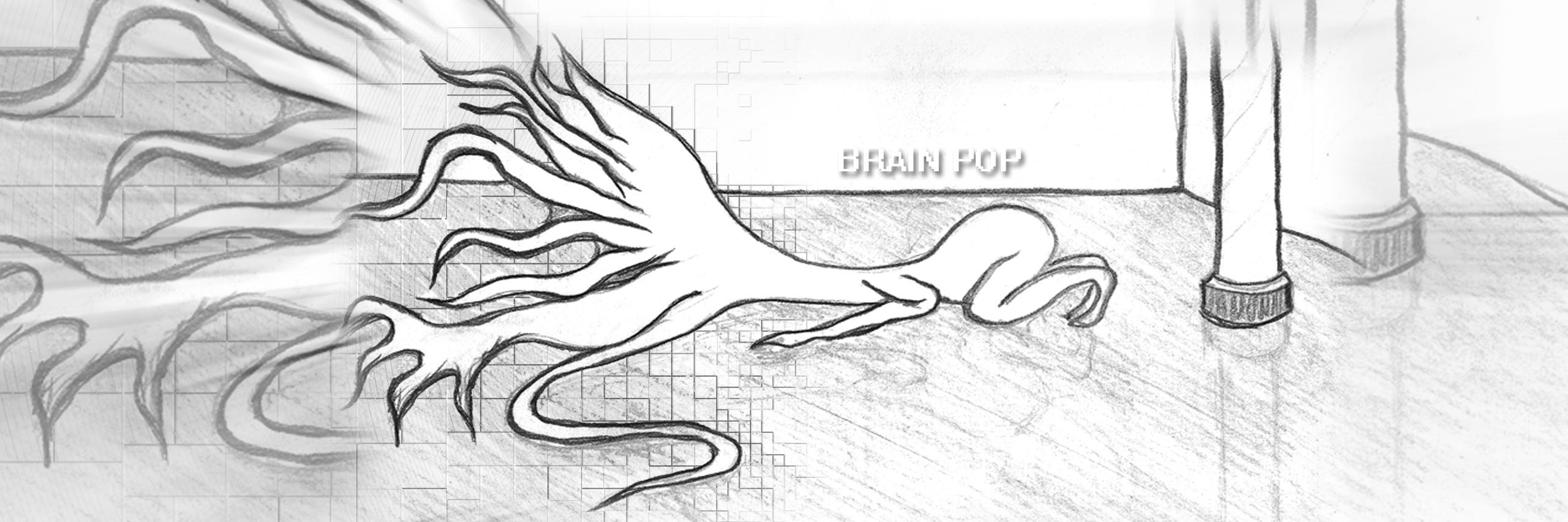 BrainPopASMR's profile banner image