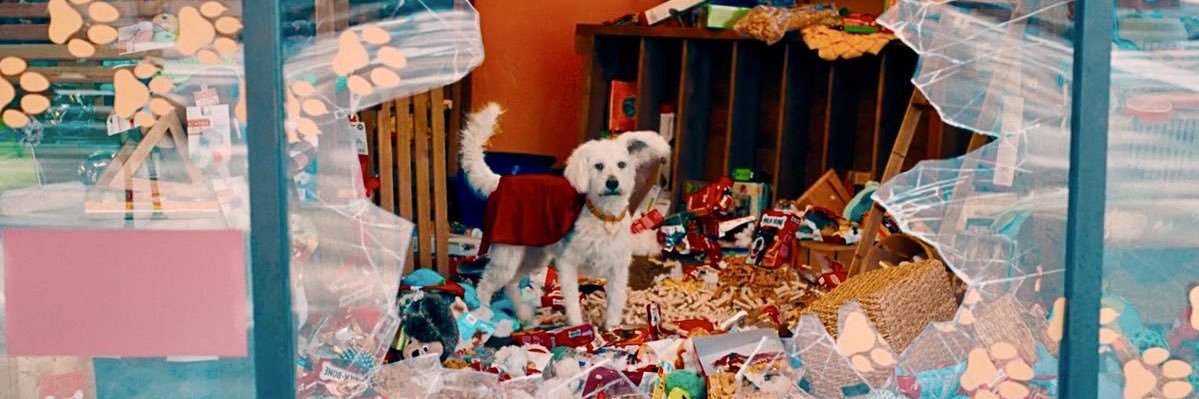 ☀︎ yume-share.ᐟ banner