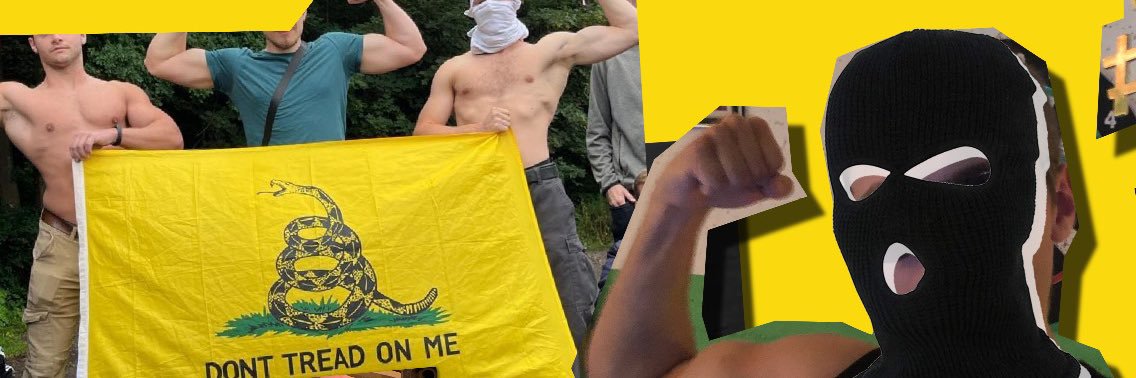 Der einzig wahre Libertäre's banner