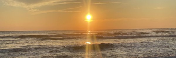 daturalt Profile Banner