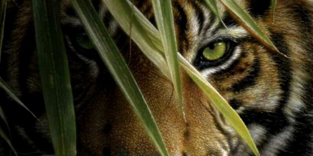 Paulaibade's profile banner image