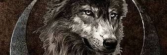 aliyildirim's profile banner image