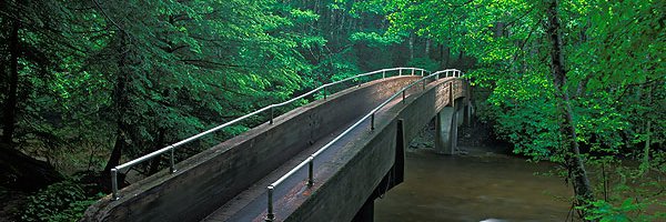 AStuehr Profile Banner