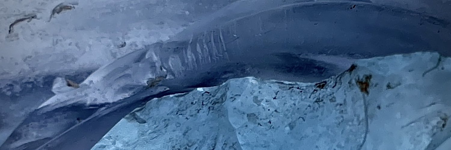 sumthin_strange's profile banner image