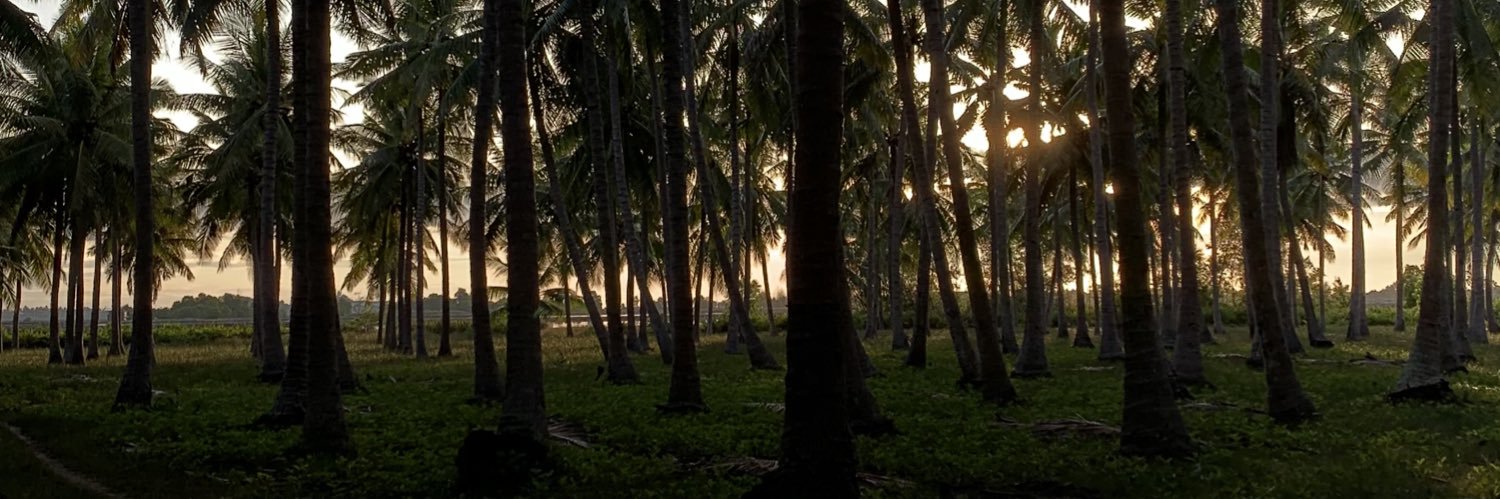 𝐕𝐞𝐫𝐫𝐚 banner