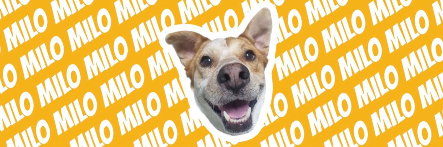 가족찾는마일로🐶's banner
