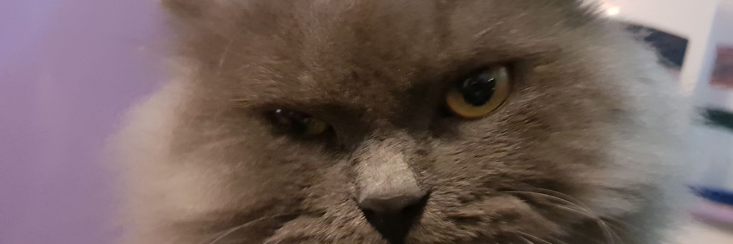 Ivan_Dimalen's profile banner image