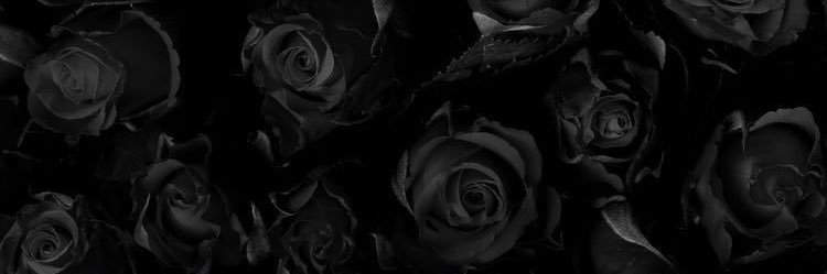 Buhbeeluv's profile banner image