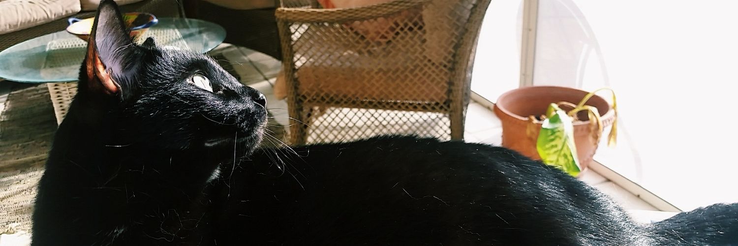 amymackenz's profile banner image