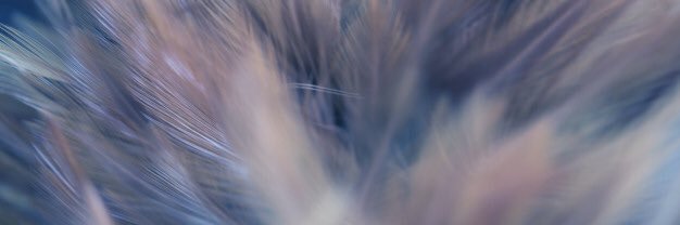 itssamanthaky's profile banner image
