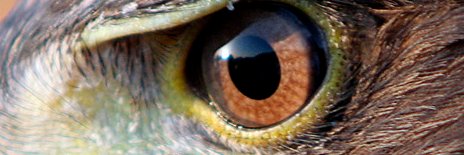 AlperenKara's profile banner image